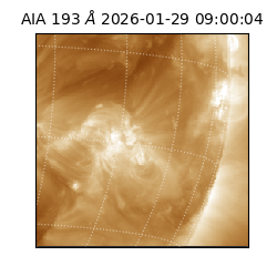 saia - 2026-01-29T09:00:04.843000