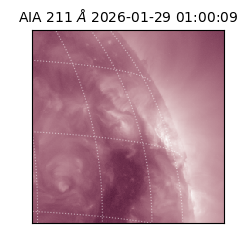 saia - 2026-01-29T01:00:09.626000