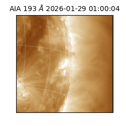 saia - 2026-01-29T01:00:04.843000