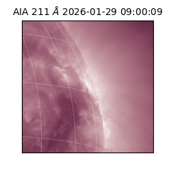 saia - 2026-01-29T09:00:09.626000