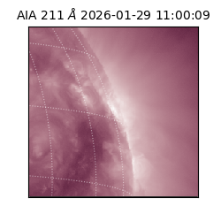 saia - 2026-01-29T11:00:09.630000