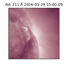 saia - 2026-01-29T15:00:09.629000