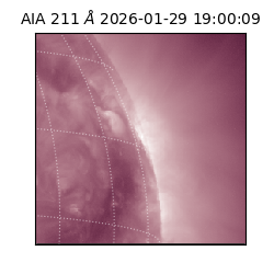 saia - 2026-01-29T19:00:09.626000