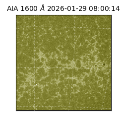 saia - 2026-01-29T08:00:14.126000