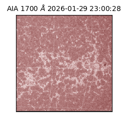 saia - 2026-01-29T23:00:28.719000