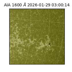 saia - 2026-01-29T03:00:14.126000