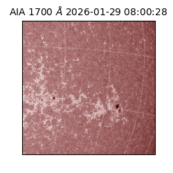 saia - 2026-01-29T08:00:28.718000