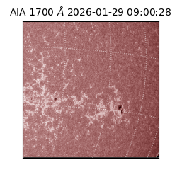 saia - 2026-01-29T09:00:28.737000