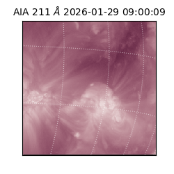 saia - 2026-01-29T09:00:09.626000