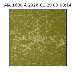 saia - 2026-01-29T09:00:14.126000