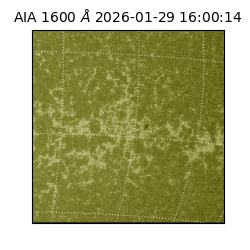 saia - 2026-01-29T16:00:14.141000