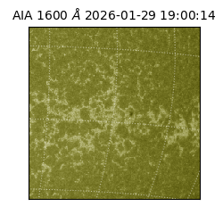 saia - 2026-01-29T19:00:14.126000