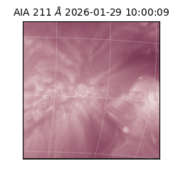 saia - 2026-01-29T10:00:09.633000