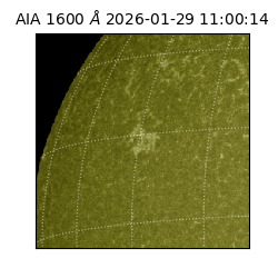 saia - 2026-01-29T11:00:14.125000