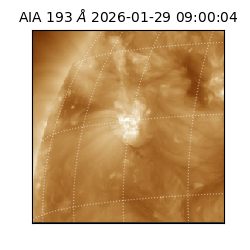 saia - 2026-01-29T09:00:04.843000