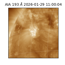 saia - 2026-01-29T11:00:04.846000