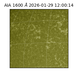 saia - 2026-01-29T12:00:14.126000