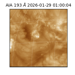 saia - 2026-01-29T01:00:04.843000