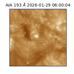 saia - 2026-01-29T06:00:04.843000