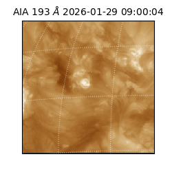 saia - 2026-01-29T09:00:04.843000