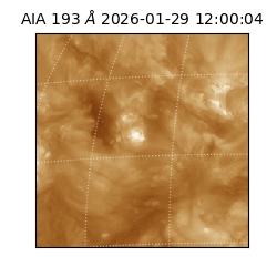 saia - 2026-01-29T12:00:04.847000