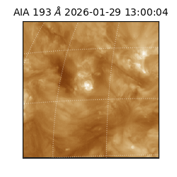 saia - 2026-01-29T13:00:04.844000