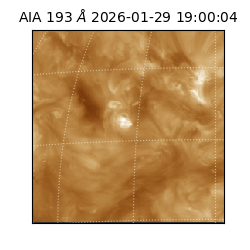 saia - 2026-01-29T19:00:04.843000