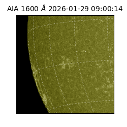 saia - 2026-01-29T09:00:14.126000