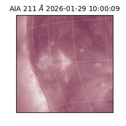 saia - 2026-01-29T10:00:09.633000