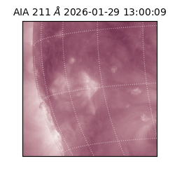 saia - 2026-01-29T13:00:09.634000