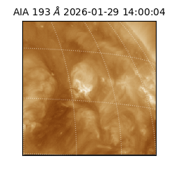 saia - 2026-01-29T14:00:04.843000