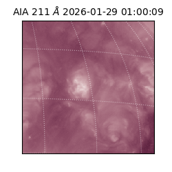 saia - 2026-01-29T01:00:09.626000