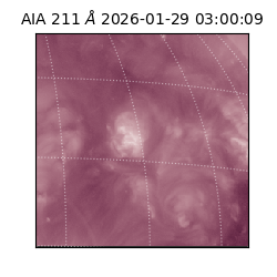 saia - 2026-01-29T03:00:09.626000