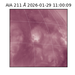 saia - 2026-01-29T11:00:09.630000