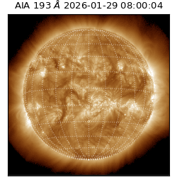 saia - 2026-01-29T08:00:04.842000