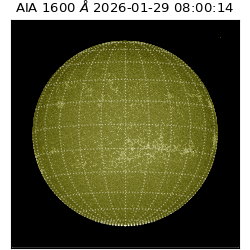 saia - 2026-01-29T08:00:14.126000