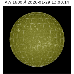 saia - 2026-01-29T13:00:14.126000