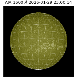 saia - 2026-01-29T23:00:14.118000