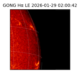gong - 2026-01-29T02:00:42