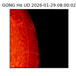 gong - 2026-01-29T08:00:02