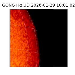 gong - 2026-01-29T10:01:02