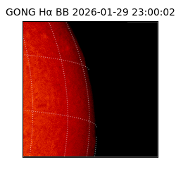 gong - 2026-01-29T23:00:02