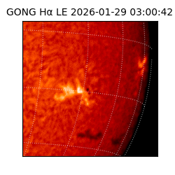 gong - 2026-01-29T03:00:42