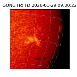 gong - 2026-01-29T09:00:22