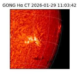 gong - 2026-01-29T11:03:42