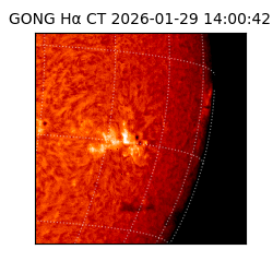 gong - 2026-01-29T14:00:42