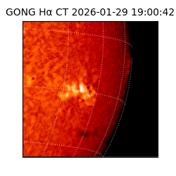 gong - 2026-01-29T19:00:42