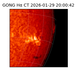 gong - 2026-01-29T20:00:42