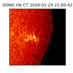 gong - 2026-01-29T21:00:42
