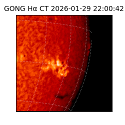 gong - 2026-01-29T22:00:42